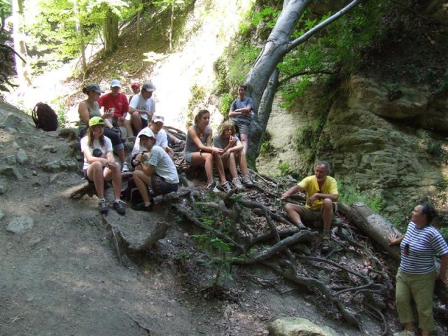 DSCF0203 (Medium)